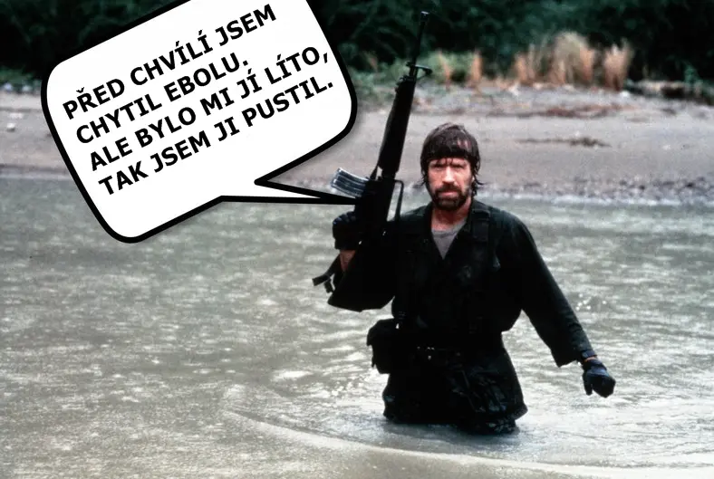 Zdá se, že Hillary Clintonová to má sečtené. Donalda Trumpa podpořil Chuck Norris.