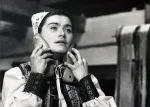 Rysavá jalovica