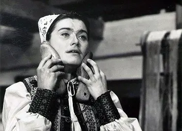 Rysavá jalovica