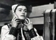 Rysavá jalovica