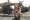 Brie Larson - Kong: Ostrov lebek (2017), Obrázek #4