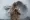 John Goodman - Kong: Ostrov lebek (2017), Obrázek #3