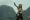 Brie Larson - Kong: Ostrov lebek (2017), Obrázek #6