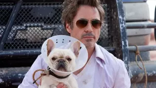 Robert Downey Jr. je nový Dr. Dolittle a dostane hvězdné zvířecí parťáky