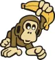 Chimpanzee21