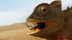 Zázračná planeta II: Trailer #2