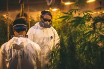 Režisér Nenasytné Tiffany se zavřel do pěstírny. Co tam uzrálo?