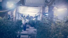 Pěstírna: Upoutávka na internetový seriál