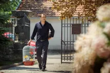 Stjepan Peric - Ministerstvo lásky (2016), Obrázek #6