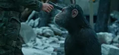 Válka o planetu opic: Finální trailer - tentokrát už jde vážně do tuhého!