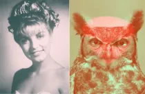 Poznejte tajnou historii Twin Peaks (SOUTĚŽ)