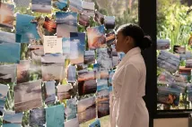 Amandla Stenberg - Všechno, úplně všechno (2017), Obrázek #2