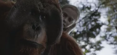 28. týden-kinopremiéry: Vrcholí Válka o planetu opic. Divákům se ukazuje něžný neonacista Daliborek