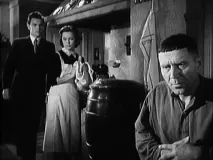 Tančila jedno léto