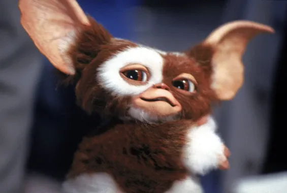 Gremlins: Nejroztomilejší filmový mončičák bude zase jíst po půlnoci!