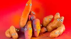 Hlavní cenu letošní Brněnské 16 získal film Čas jít