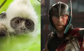 Filmové zázraky se dějí. Na planetě Zemi i v říši hrdiny Thora