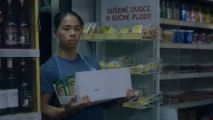 Mladí Vietnamci v České republice aneb Generační vzpoura proti pracovitým rodičům?