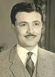 Salah Zulfikar
