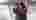 0d9f8c5143f289e01a64304245bf6907380