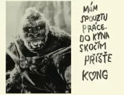 Tohle kino má rád i King Kong. Oslavy zábavného škváru i výsostného umění v Aeru