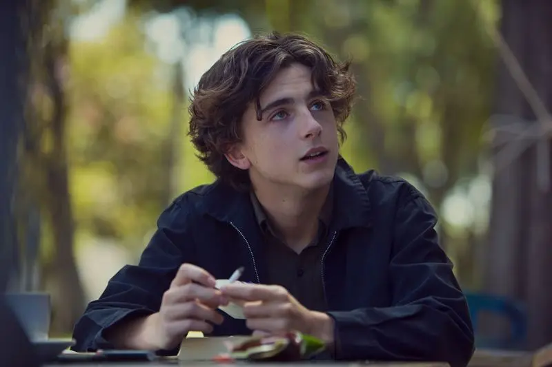 Timothée Chalamet