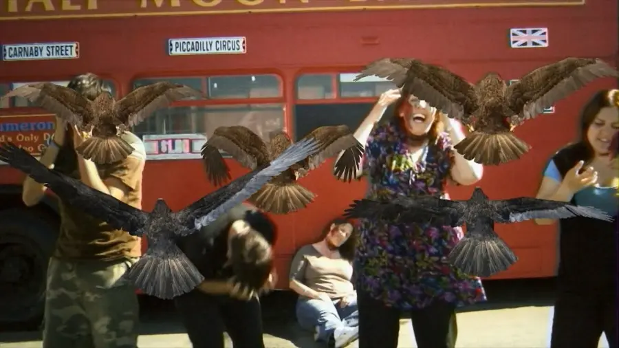 Ptákodemie: Děs a hrůza