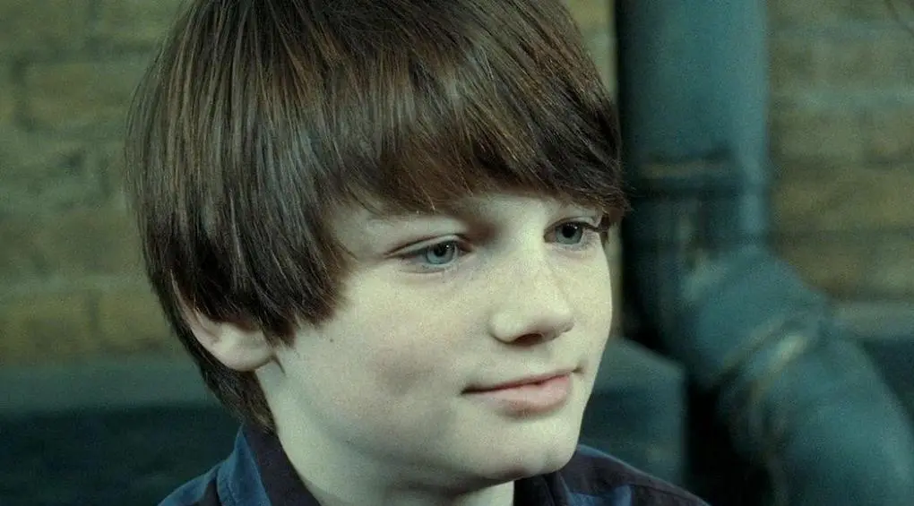 do-jakych-bradavickych-koleji-patrili-urcite-dospele-postavy-z-harryho-pottera-nektere-vas-mozna-prekvapi-6