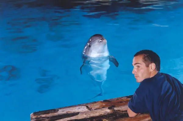 filmy-s-vuni-more-a-prazdnin-aneb-filmy-s-nejkrasnejsi-primorskou-atmosferou-1