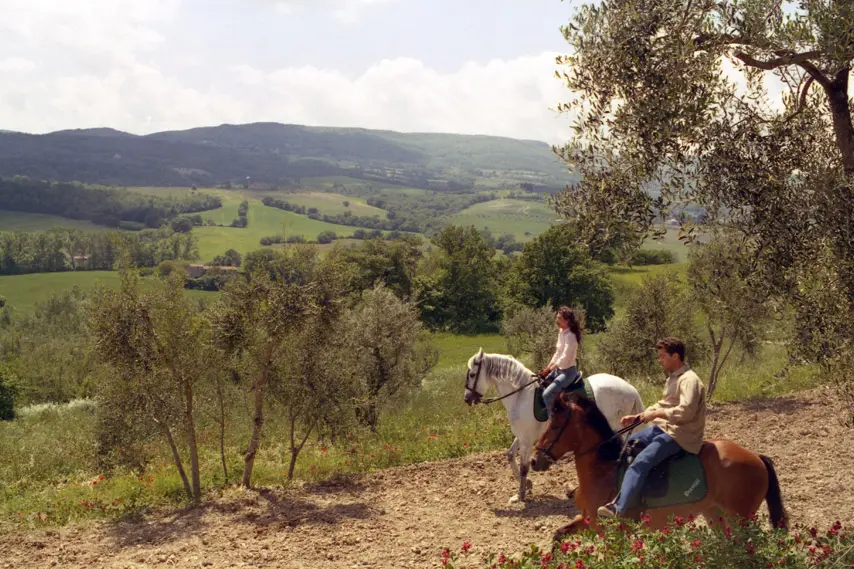 filmy-s-vuni-more-a-prazdnin-aneb-filmy-s-nejkrasnejsi-primorskou-atmosferou-3