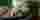 Rosamund Pike natočí Zmizelou 2 pod jednou podmínkou