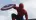 Sejdou se Spider-Man a Captain America opět v jednom filmu?