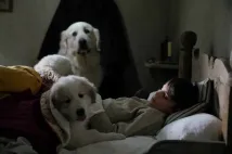 Félix Bossuet - Bella a Sebastian 3: Přátelé navždy (2018), Obrázek #10