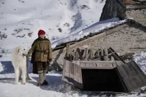 Félix Bossuet - Bella a Sebastian 3: Přátelé navždy (2018), Obrázek #8