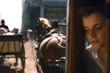 Juli Jakab - Soumrak (2018), Obrázek #13