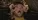 Věčný svit neposkvrněné mysli / Eternal Sunshine of the Spotless Mind: Trailer