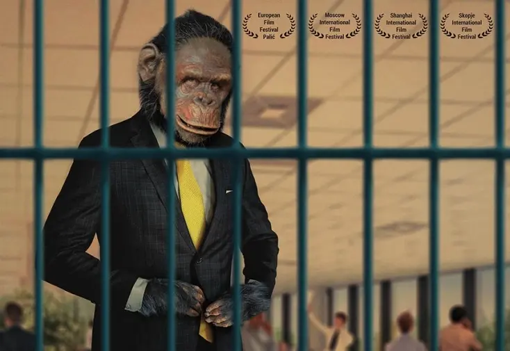 Premiéry v kinech: Boj s drogovou závislostí a revoluční šimpanz