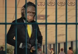 Premiéry v kinech: Boj s drogovou závislostí a revoluční šimpanz