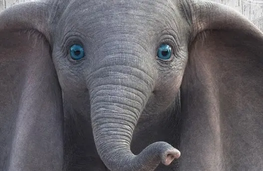 Ach ty modré oči! Kam se na ně hrabou Colin Farell i Eva Green!