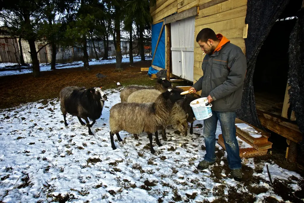 Manželské etudy: Nová generace
