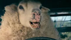 Černá ovce / Black Sheep: Trailer