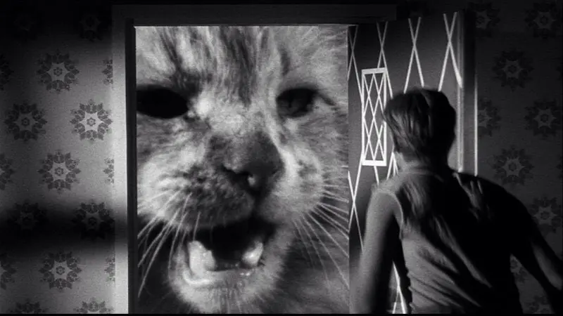 Incredible Shrinking Man, The