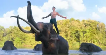 Trailer: Indický akčňák se slony překvapuje jménem režiséra