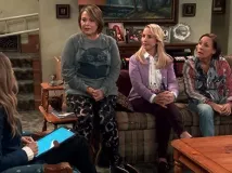 Roseanne Barr