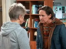 Laurie Metcalf - Roseanne (1988), Obrázek #3