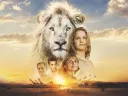 Brzy v kinech: Lev jako nejlepší domácí mazlíček?