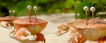 Recenze: Mrňouskové 2: Daleko od domova - Jeden z nejlepších animovaných filmů posledních let?