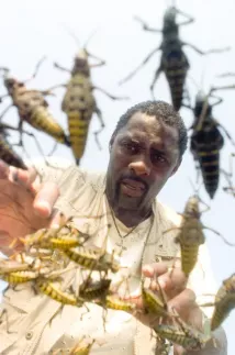 Idris Elba - Krvavá sklizeň (2007), Obrázek #1