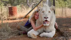 Mia a bílý lev - jak se točí se lvy bez triků