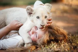 Natáčení s opravdovými bílými lvy? Žádná legrace!